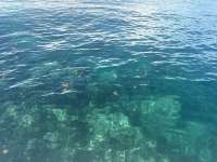 Great day of scuba diving in Key Largo with Rainbow Reef on christ statue tropical odyssey 2025 09 25 r18916 1