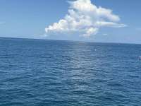 Great day of scuba diving in Key Largo with Rainbow Reef on city of washington tropical odyssey 2025 09 25 r18914 1