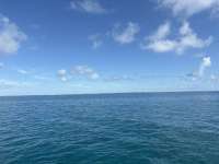 Great day of scuba diving in Key Largo with Rainbow Reef on crf nursery tropical adventure 2025 09 11 r18800 1