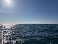 Great day of scuba diving in Key Largo with Rainbow Reef on crf nursery tropical adventure 2025 09 30 r18965 1