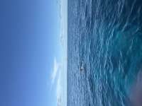 Great day of scuba diving in Key Largo with Rainbow Reef on eagle ray alley tropical serenity 2025 09 11 r18798 1