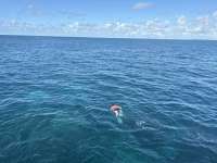 Great day of scuba diving in Key Largo with Rainbow Reef on fire coral cave tropical legend 2025 09 26 r18937 1