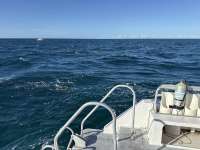 Great day of scuba diving in Key Largo with Rainbow Reef on french reef tropical destiny 2025 09 29 r18959 1