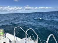 Great day of scuba diving in Key Largo with Rainbow Reef on molasses reef tropical destiny 2025 09 29 r18963 1