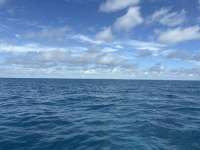 Great day of scuba diving in Key Largo with Rainbow Reef on permit ledges tropical serenity 2025 09 13 r18810 1
