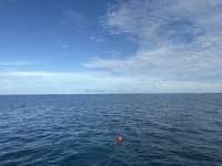 Great day of scuba diving in Key Largo with Rainbow Reef on snapper ledge tropical serenity 2025 09 12 r18802 1