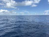 Great day of scuba diving in Key Largo with Rainbow Reef on spiegel grove tropical odyssey 2025 09 21 r18868 1