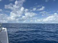 Great day of scuba diving in Key Largo with Rainbow Reef on spiegel grove tropical odyssey 2025 09 21 r18872 1