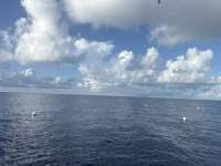 Great day of scuba diving in Key Largo with Rainbow Reef on spiegel grove tropical odyssey 2025 09 23 r18894 1