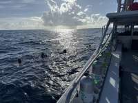 Great day of scuba diving in Key Largo with Rainbow Reef on spiegel grove tropical odyssey 2025 09 27 r18946 1