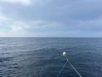 Great day of scuba diving in Key Largo with Rainbow Reef on uscgc bibb tropical odyssey 2025 09 10 r18797 1