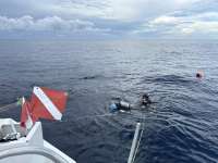 Great day of scuba diving in Key Largo with Rainbow Reef on uscgc duane tropical odyssey 2025 09 22 r18880 1