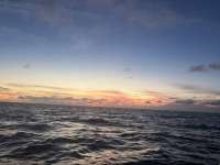 Great day of scuba diving in Key Largo with Rainbow Reef on aquarium tropical odyssey 2026 04 18 r19642 1