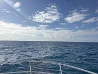 Great day of scuba diving in Key Largo with Rainbow Reef on benwood wreck tropical legend 2026 04 17 r19628 1