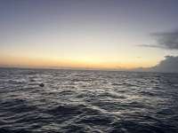 Great day of scuba diving in Key Largo with Rainbow Reef on benwood wreck tropical odyssey 2026 04 25 r19701 1
