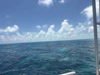 Great day of scuba diving in Key Largo with Rainbow Reef on christ statue tropical odyssey 2026 04 18 r19640 1