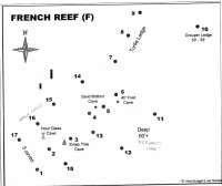 Great day of scuba diving in Key Largo with Rainbow Reef on christmastree cave tropical destiny 2026 04 09 r19621 1