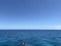 Great day of scuba diving in Key Largo with Rainbow Reef on logans run tropical odyssey 2026 04 08 r19619 1