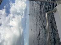 Great day of scuba diving in Key Largo with Rainbow Reef on molasses reef tropical serenity 2026 04 29 r19714 1