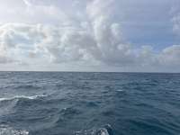 Great day of scuba diving in Key Largo with Rainbow Reef on nine channel tropical destiny 2026 04 02 r19609 1