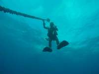 Great day of scuba diving in Key Largo with Rainbow Reef on snapper ledge tropical destiny 2026 04 06 r19615 1