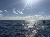 Great day of scuba diving in Key Largo with Rainbow Reef on spiegel grove tropical odyssey 2026 04 18 r19632 1