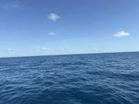 Great day of scuba diving in Key Largo with Rainbow Reef on spiegel grove tropical odyssey 2026 04 26 r19705 1