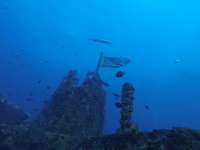 Great day of scuba diving in Key Largo with Rainbow Reef on uscgc duane tropical destiny 2026 04 06 r19614 1