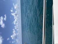 Great day of scuba diving in Key Largo with Rainbow Reef on benwood wreck tropical serenity 2026 08 11 r20183 1
