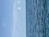 Great day of scuba diving in Key Largo with Rainbow Reef on christ statue tropical serenity 2026 08 14 r20204 1