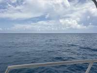 Great day of scuba diving in Key Largo with Rainbow Reef on drift conch wall tropical destiny 2026 08 26 r20281 1