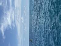 Great day of scuba diving in Key Largo with Rainbow Reef on drift molasses tropical destiny 2026 08 07 r20147 1