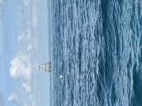 Great day of scuba diving in Key Largo with Rainbow Reef on eagle ray alley tropical legend 2026 08 22 r20252 1