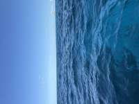 Great day of scuba diving in Key Largo with Rainbow Reef on eagle ray alley tropical serenity 2026 08 11 r20179 1