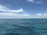Great day of scuba diving in Key Largo with Rainbow Reef on minnow cave tropical odyssey 2026 08 07 r20145 1