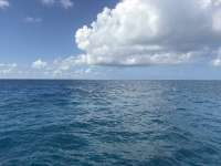 Great day of scuba diving in Key Largo with Rainbow Reef on molasses reef tropical destiny 2026 08 11 r20181 1