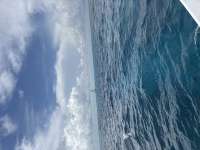 Great day of scuba diving in Key Largo with Rainbow Reef on nine channel tropical serenity 2026 08 20 r20241 1
