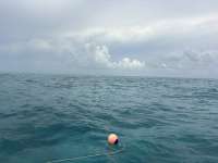 Great day of scuba diving in Key Largo with Rainbow Reef on north star tropical odyssey 2026 08 06 r20139 1
