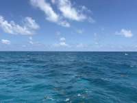 Great day of scuba diving in Key Largo with Rainbow Reef on north star tropical odyssey 2026 08 10 r20178 1