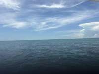 Dive photo at Spiegel Grove in Key Largo, Florida from Tropical Destiny with Captain D.J. on August 25, 2026, Rainbow Reef Dive Center