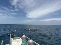Great day of scuba diving in Key Largo with Rainbow Reef on student classes trip tropical odyssey 2026 08 03 r20122 1