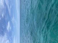 Great day of scuba diving in Key Largo with Rainbow Reef on the horseshoe tropical destiny 2026 08 04 r20130 1