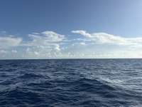 Great day of scuba diving in Key Largo with Rainbow Reef on uscgc duane tropical odyssey 2026 08 30 r20302 1