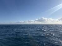Great day of scuba diving in Key Largo with Rainbow Reef on benwood wreck tropical destiny 2026 02 08 r19480 1