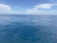 Great day of scuba diving in Key Largo with Rainbow Reef on benwood wreck tropical serenity 2026 02 21 r19513 1