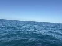 Great day of scuba diving in Key Largo with Rainbow Reef on snapper ledge tropical adventure 2026 02 20 r19505 1