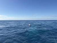 Great day of scuba diving in Key Largo with Rainbow Reef on spiegel grove tropical serenity 2026 02 25 r19520 1