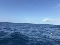 Great day of scuba diving in Key Largo with Rainbow Reef on uscgc duane tropical destiny 2026 02 26 r19521 1