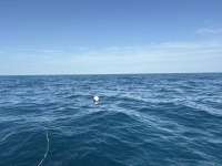Great day of scuba diving in Key Largo with Rainbow Reef on woodys tropical legend 2026 02 28 r19529 1