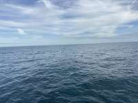 Great day of scuba diving in Key Largo with Rainbow Reef on benwood wreck tropical destiny 2026 01 11 r19408 1